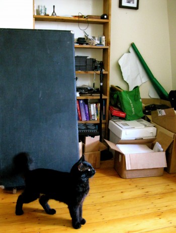 Sticky in front of the shelf where the Tea First catalogue is stored