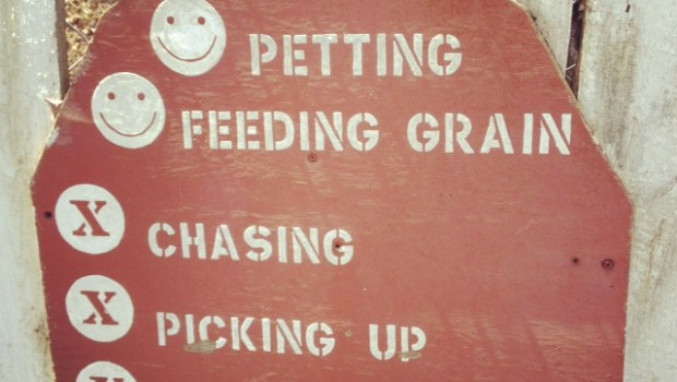 Farm life do's and dont's